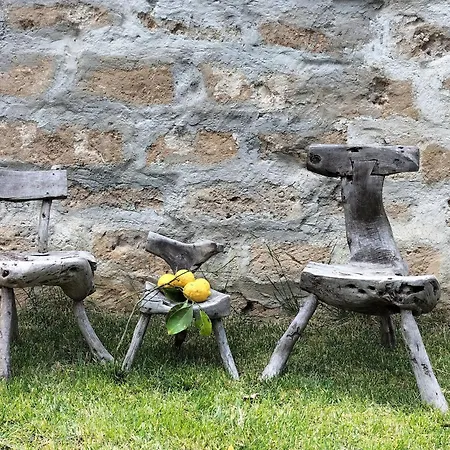 Minioti A Arnesano